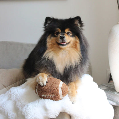 Football Enrichment Toy