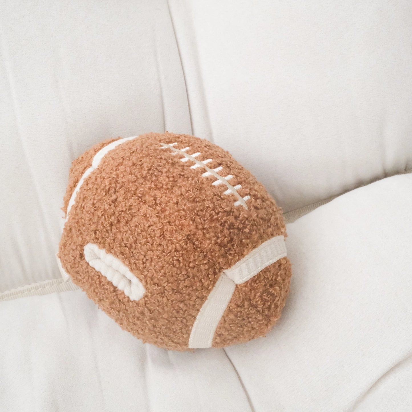 Football Enrichment Toy