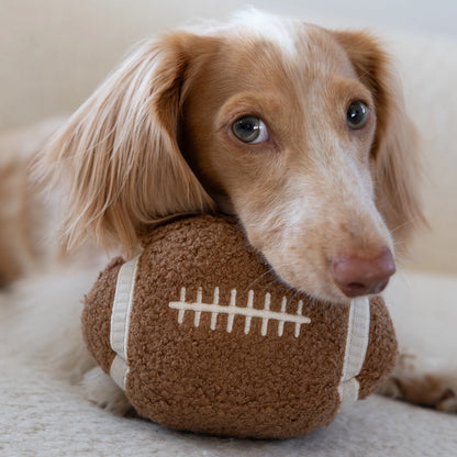 Football Enrichment Toy