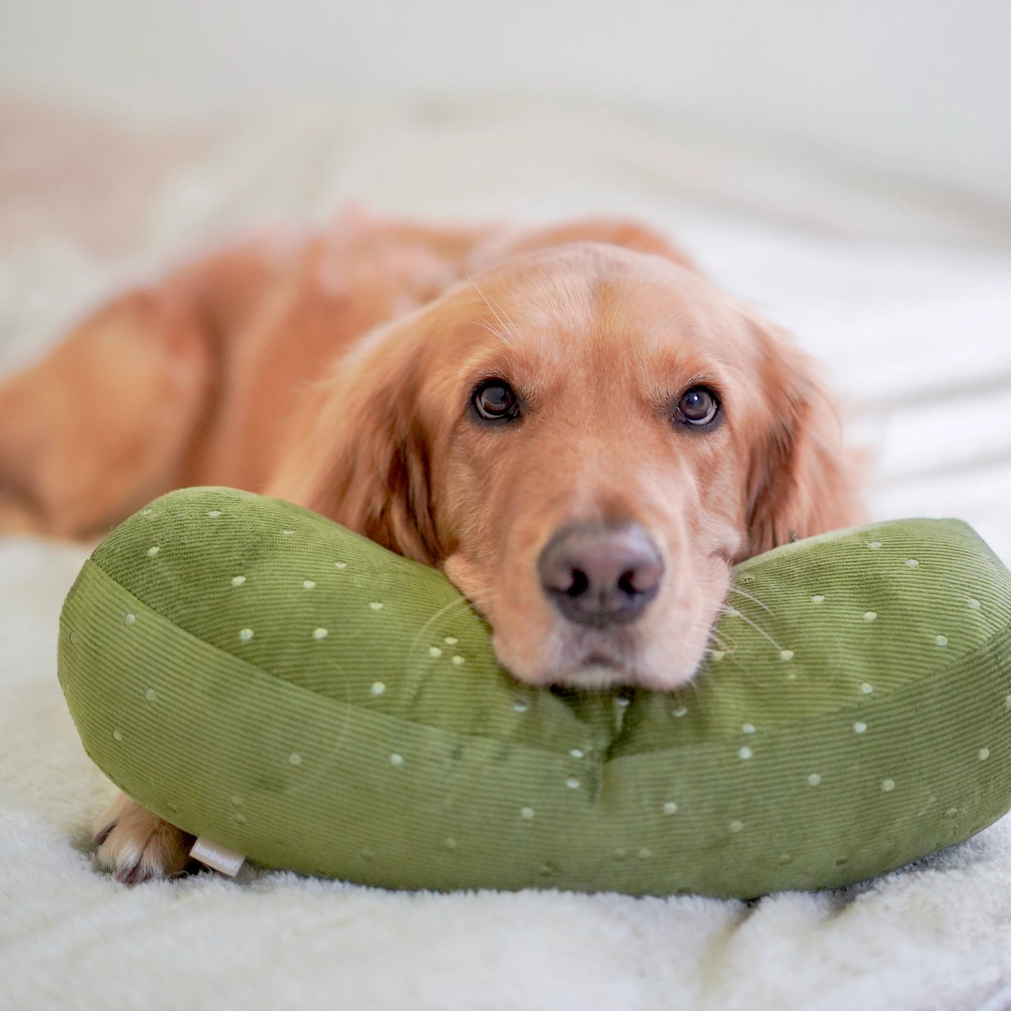 Giant Pickle Plush Toy