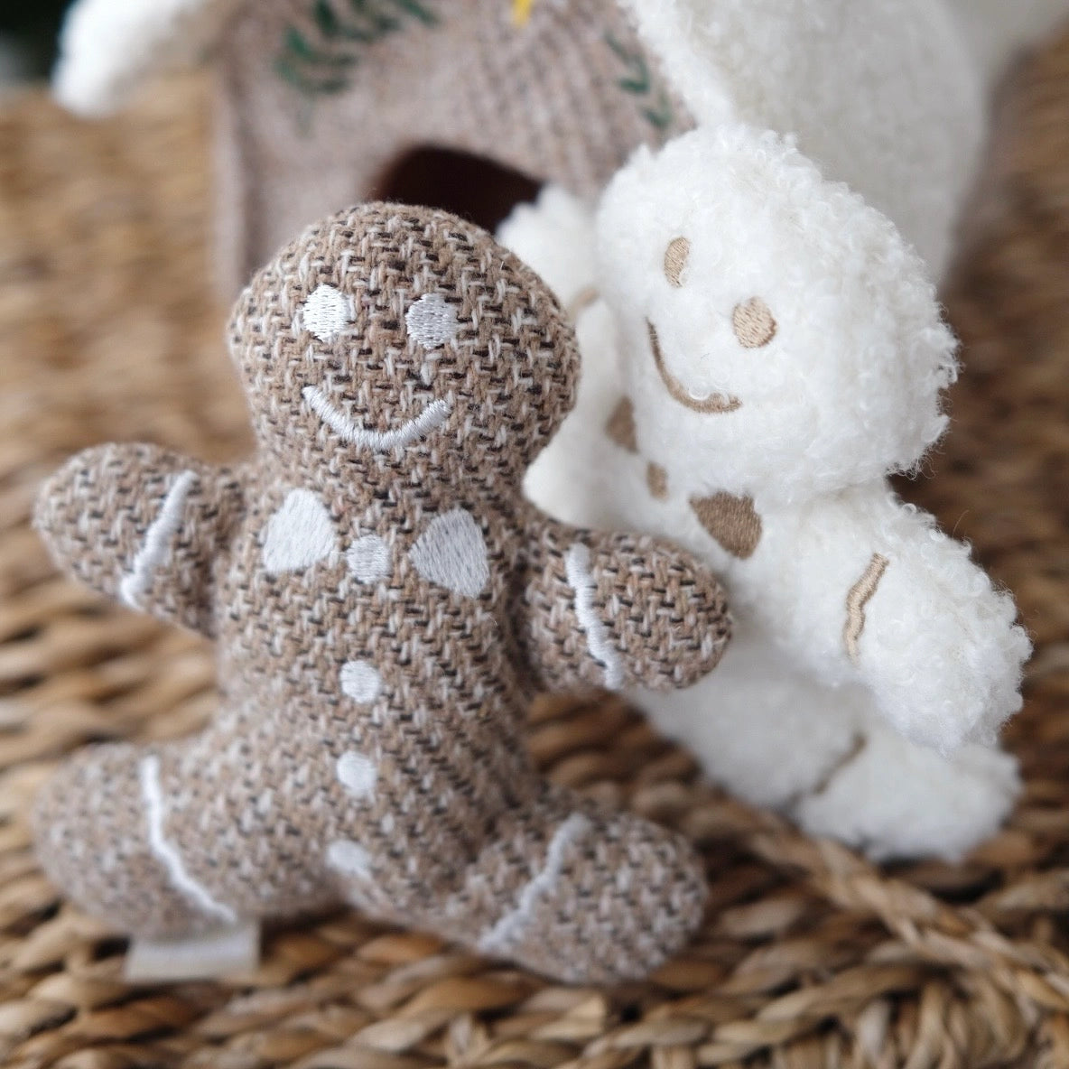 Gingerbread House Enrichment Toy