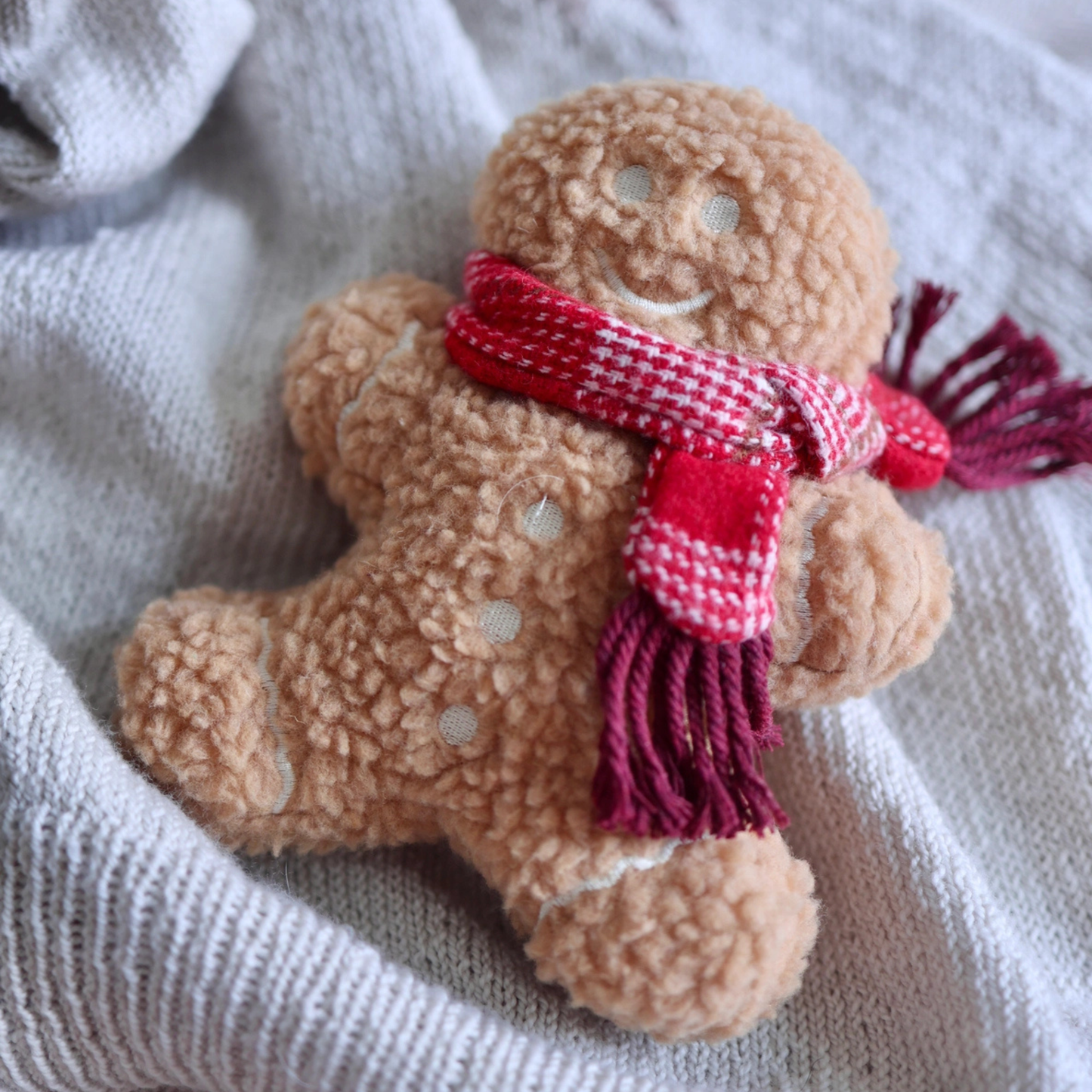 Mister Gingerbread Enrichment Toy