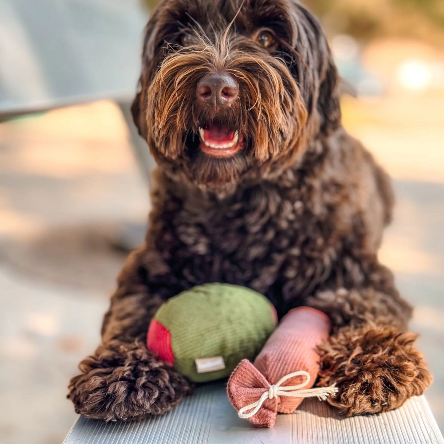 Olive + Salami Enrichment Toy