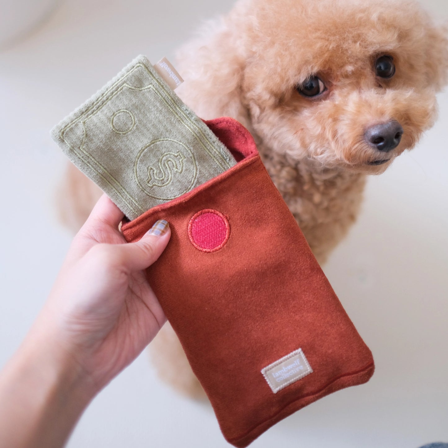 Red Pocket Enrichment Toy