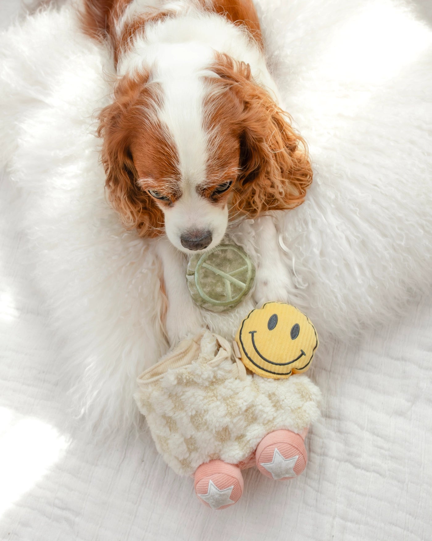 Roller Skate Enrichment Toy