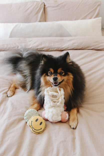 Roller Skate Enrichment Toy
