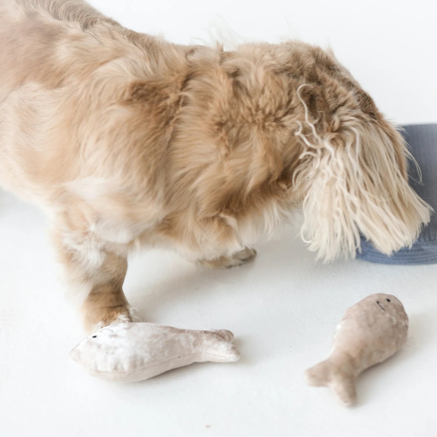 Sardines Enrichment Toy