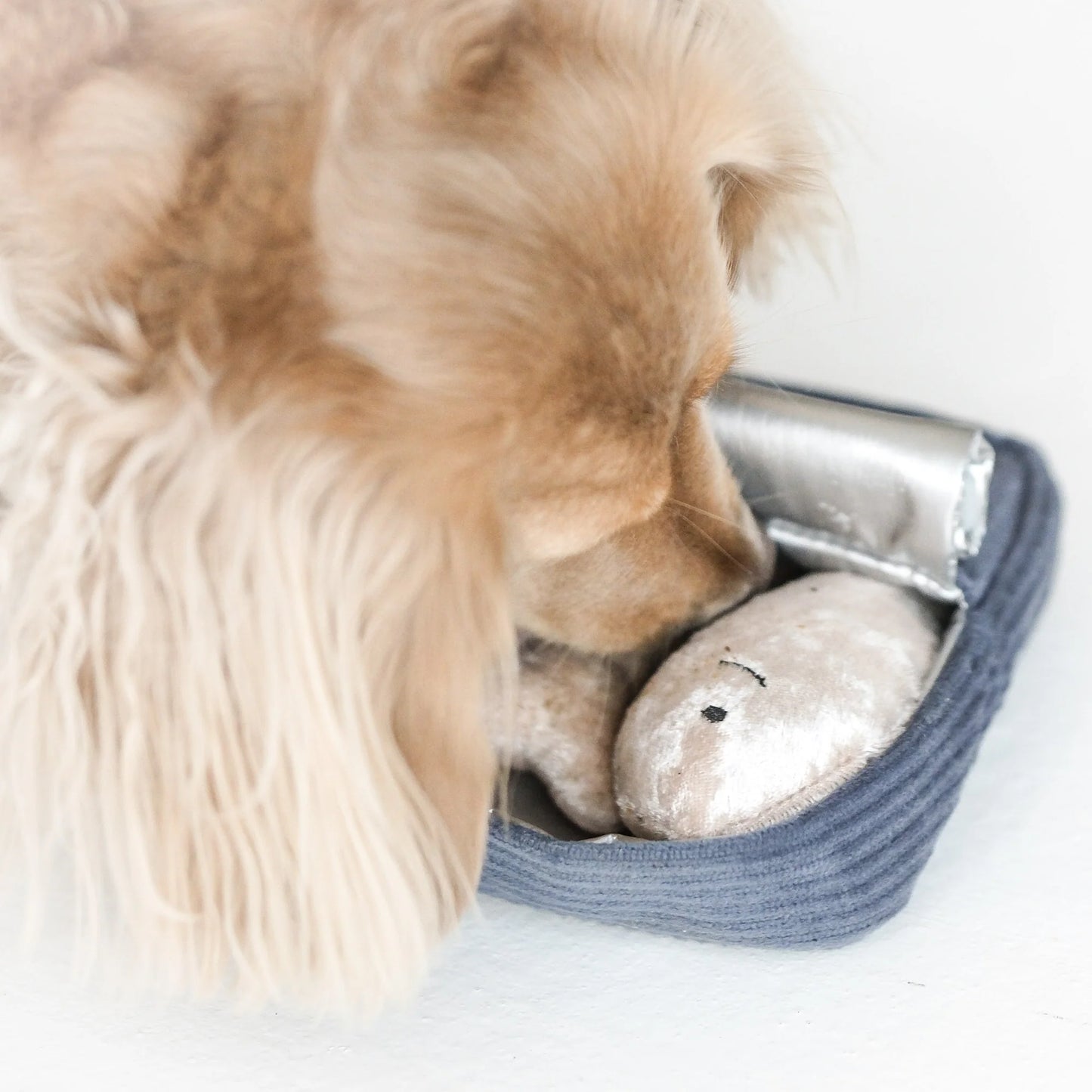 Sardines Enrichment Toy