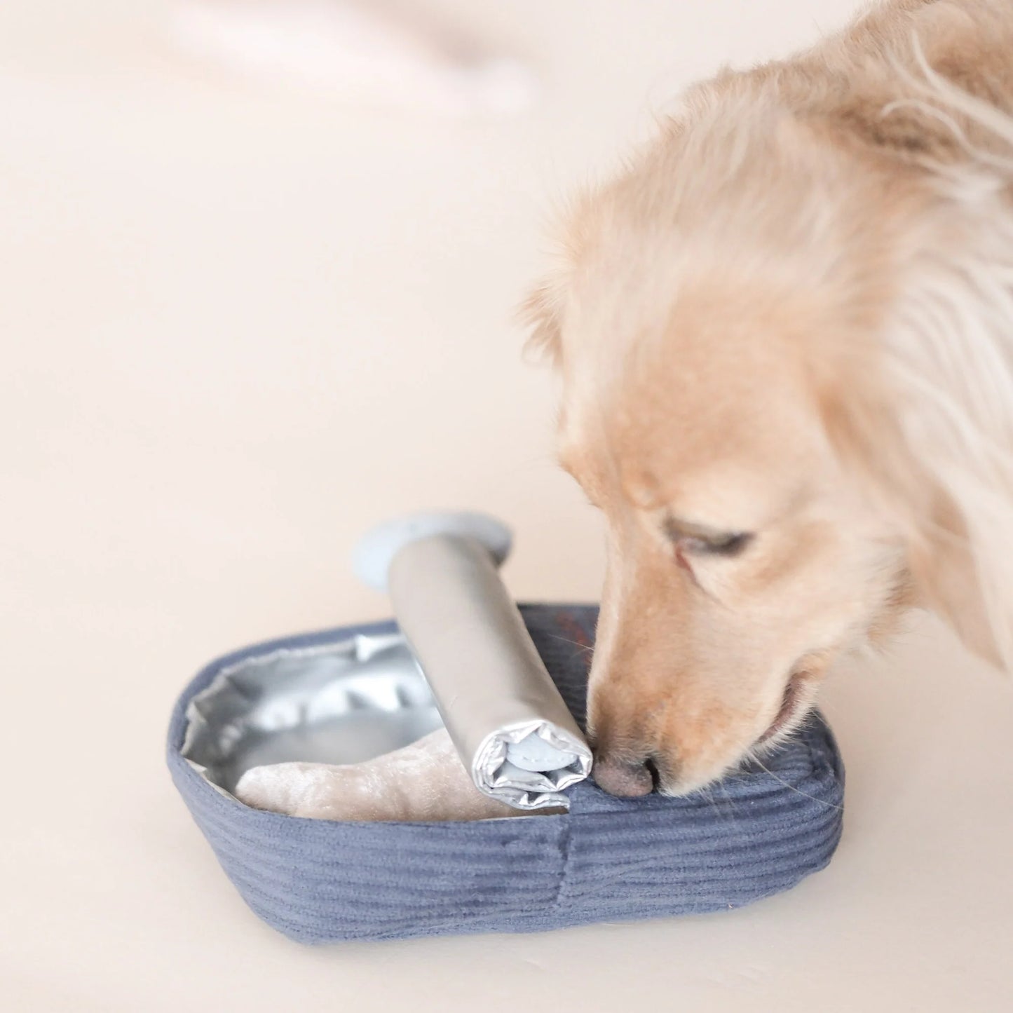 Sardines Enrichment Toy