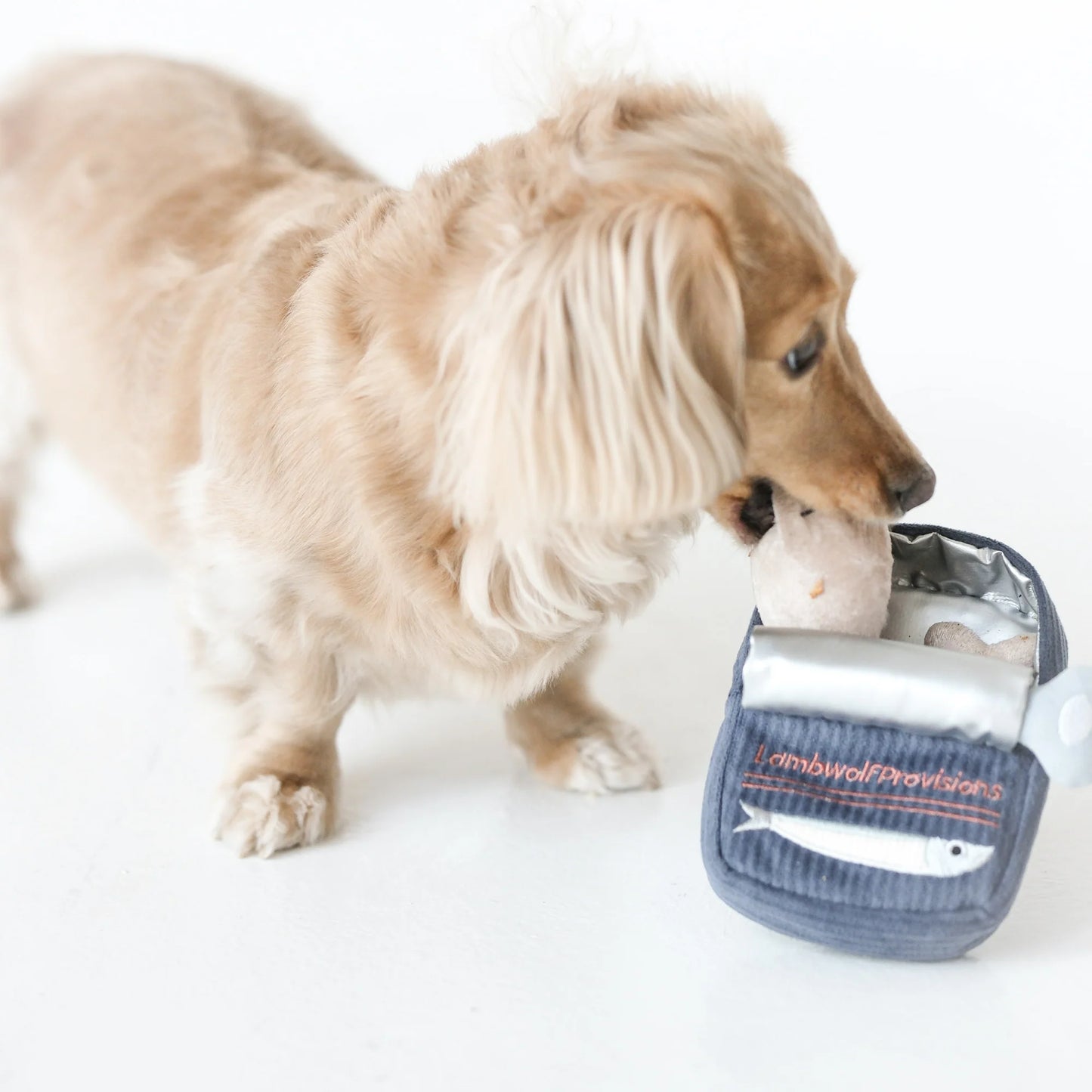 Sardines Enrichment Toy