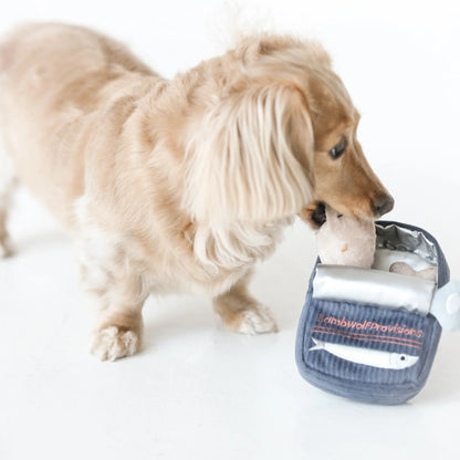Sardines Enrichment Toy