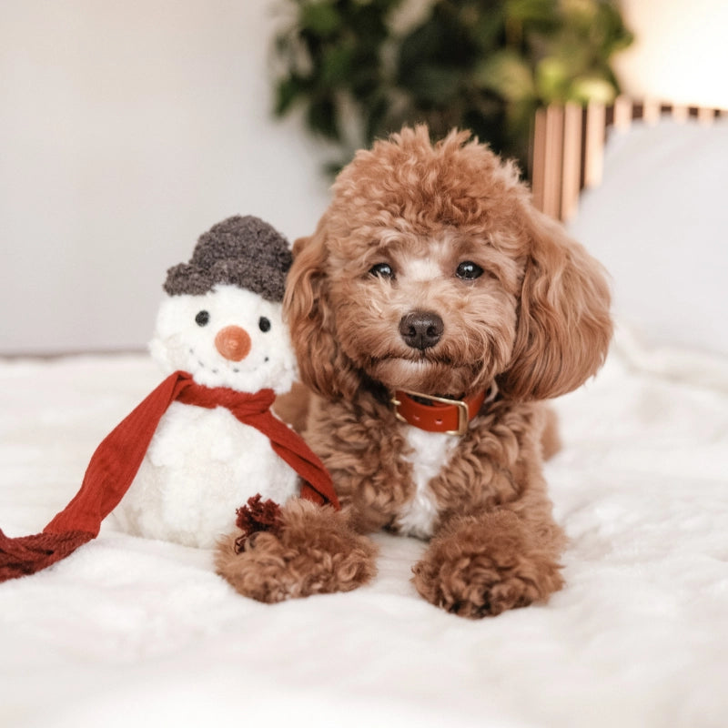 Snowman Enrichment Toy