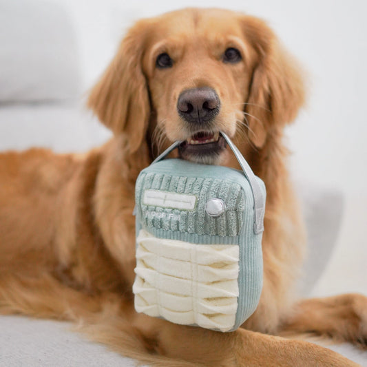 Woof FM Enrichment Toy