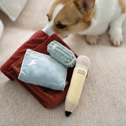 Back To School Enrichment Toy