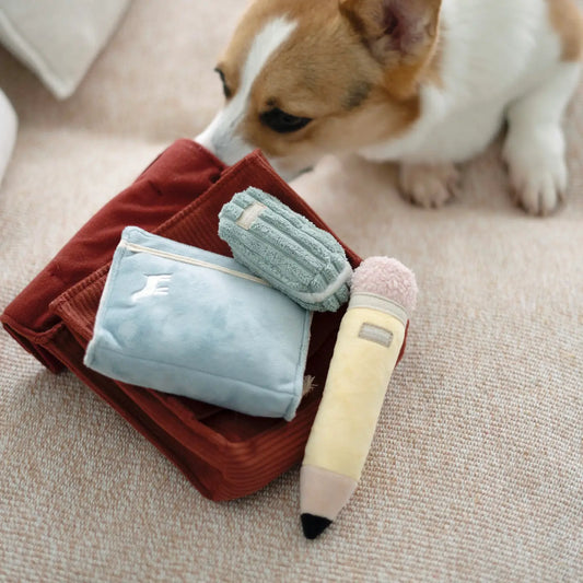 Back To School Enrichment Toy