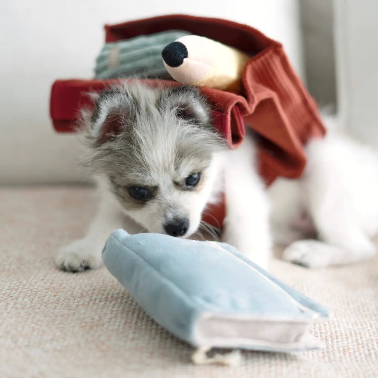 Back To School Enrichment Toy