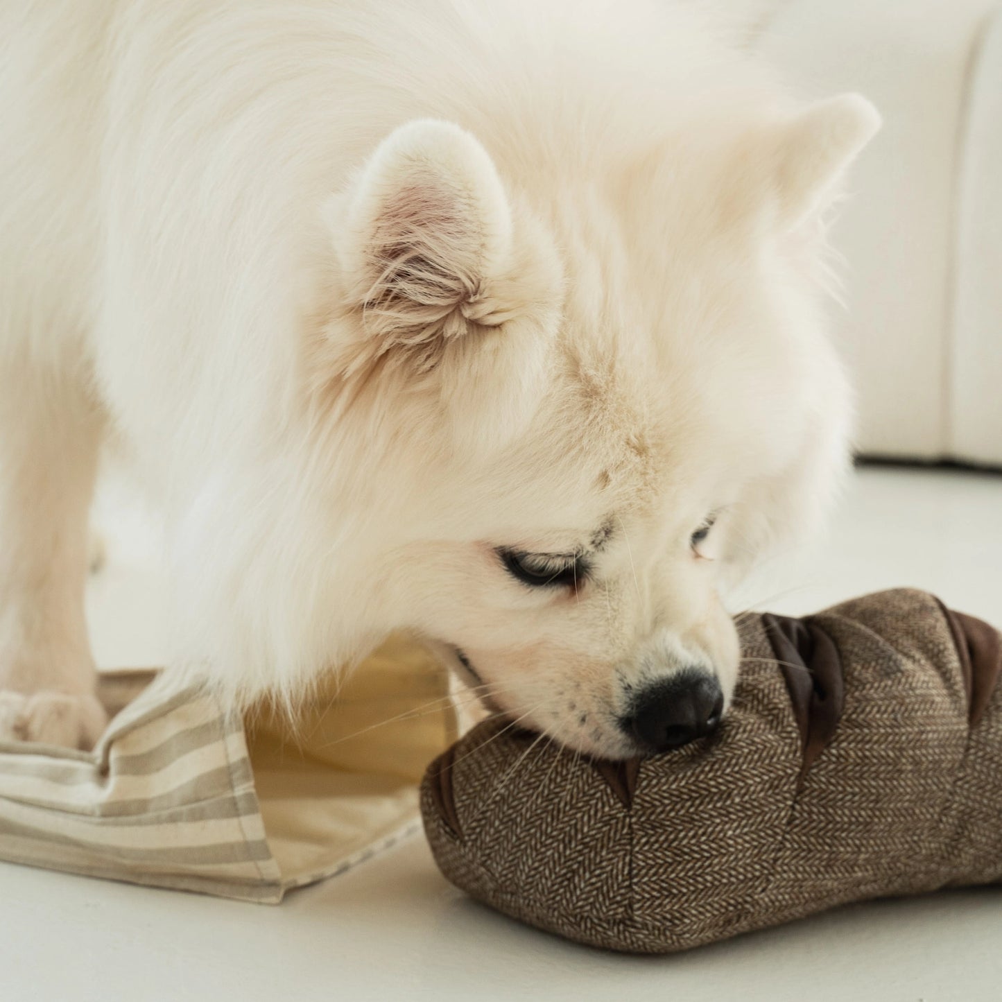 Rye Enrichment Toy