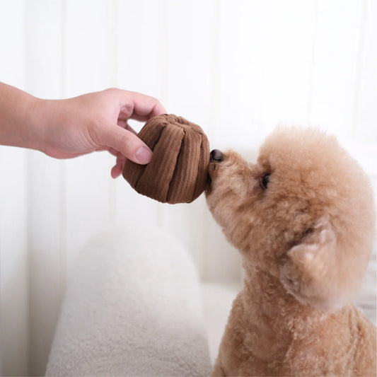 Canele Enrichment Toy