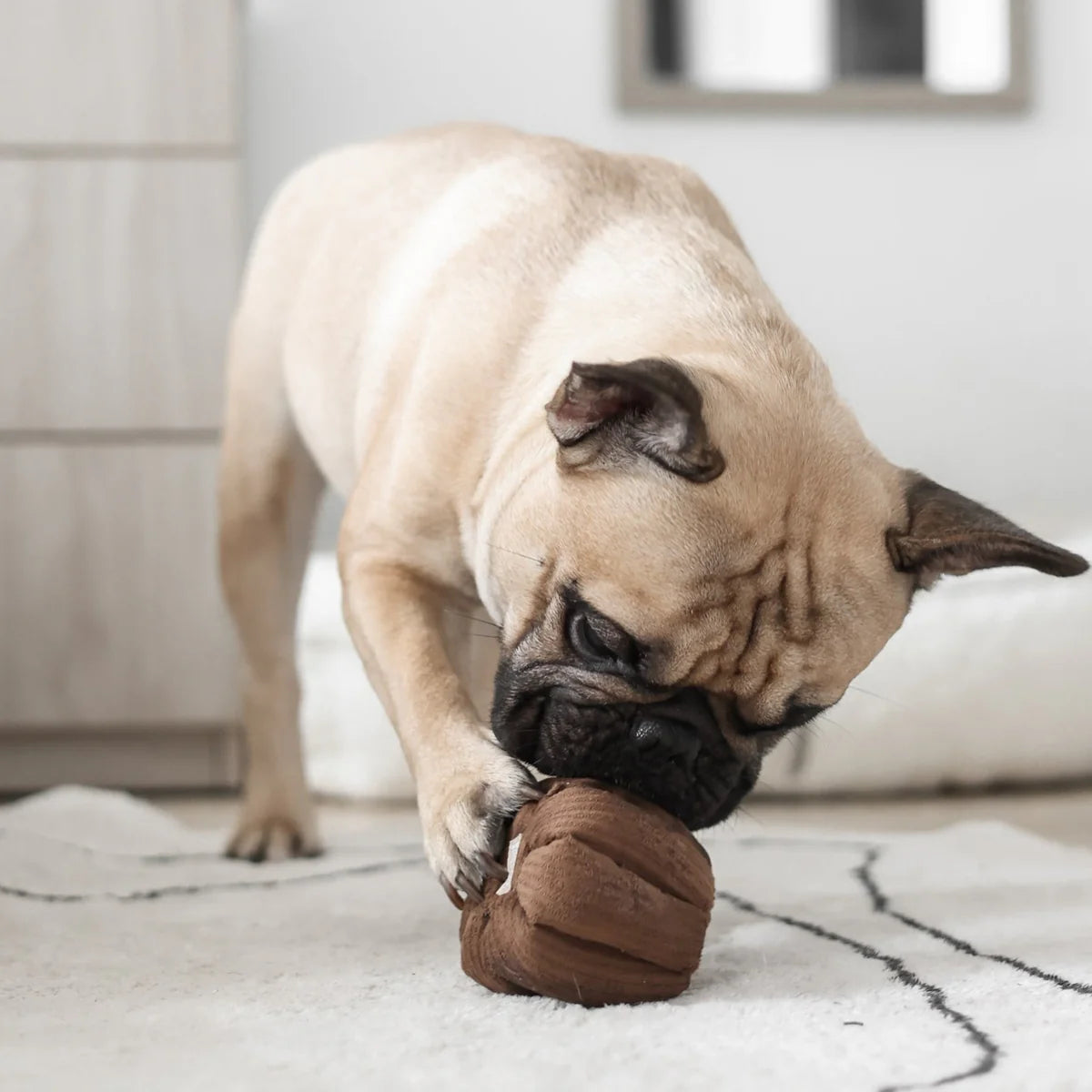 Canele Enrichment Toy