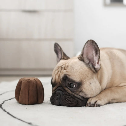 Canele Enrichment Toy