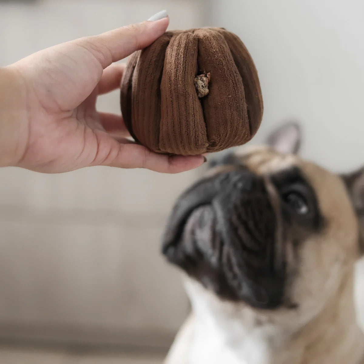 Canele Enrichment Toy