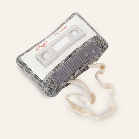 Cassette Enrichment Toy