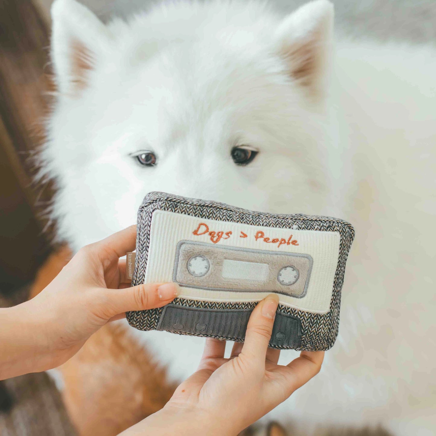 Cassette Enrichment Toy