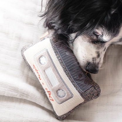Cassette Enrichment Toy