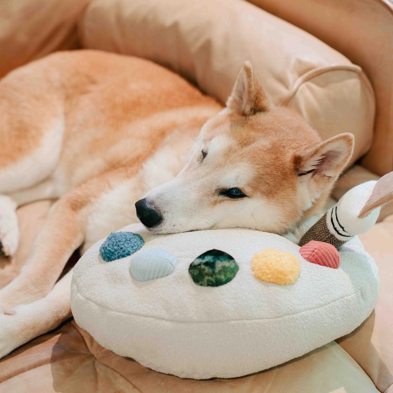 Color Palette Set Enrichment Toy