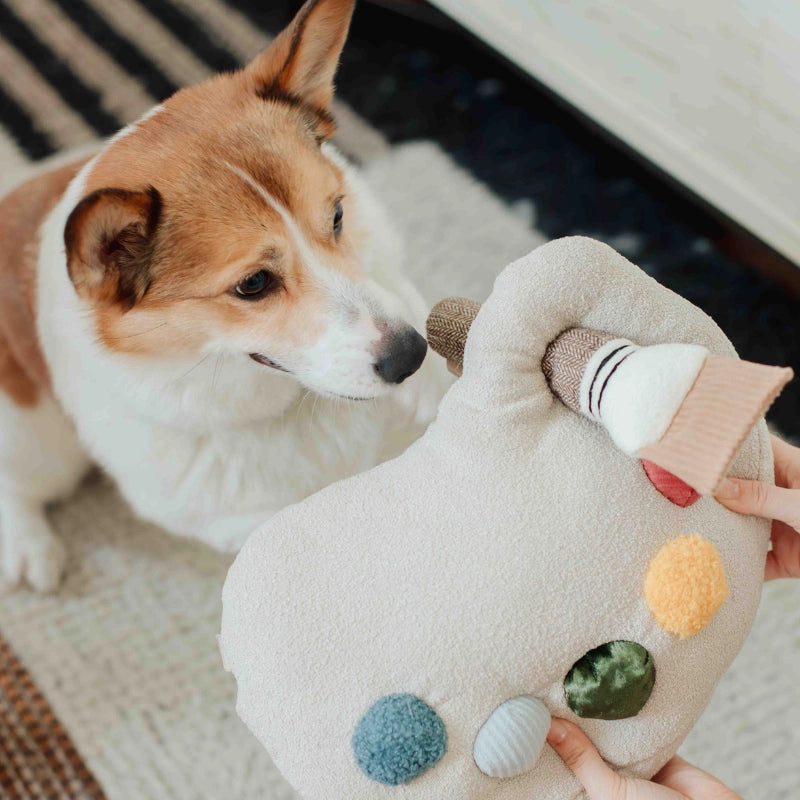Color Palette Set Enrichment Toy