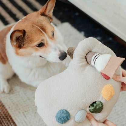 Color Palette Set Enrichment Toy