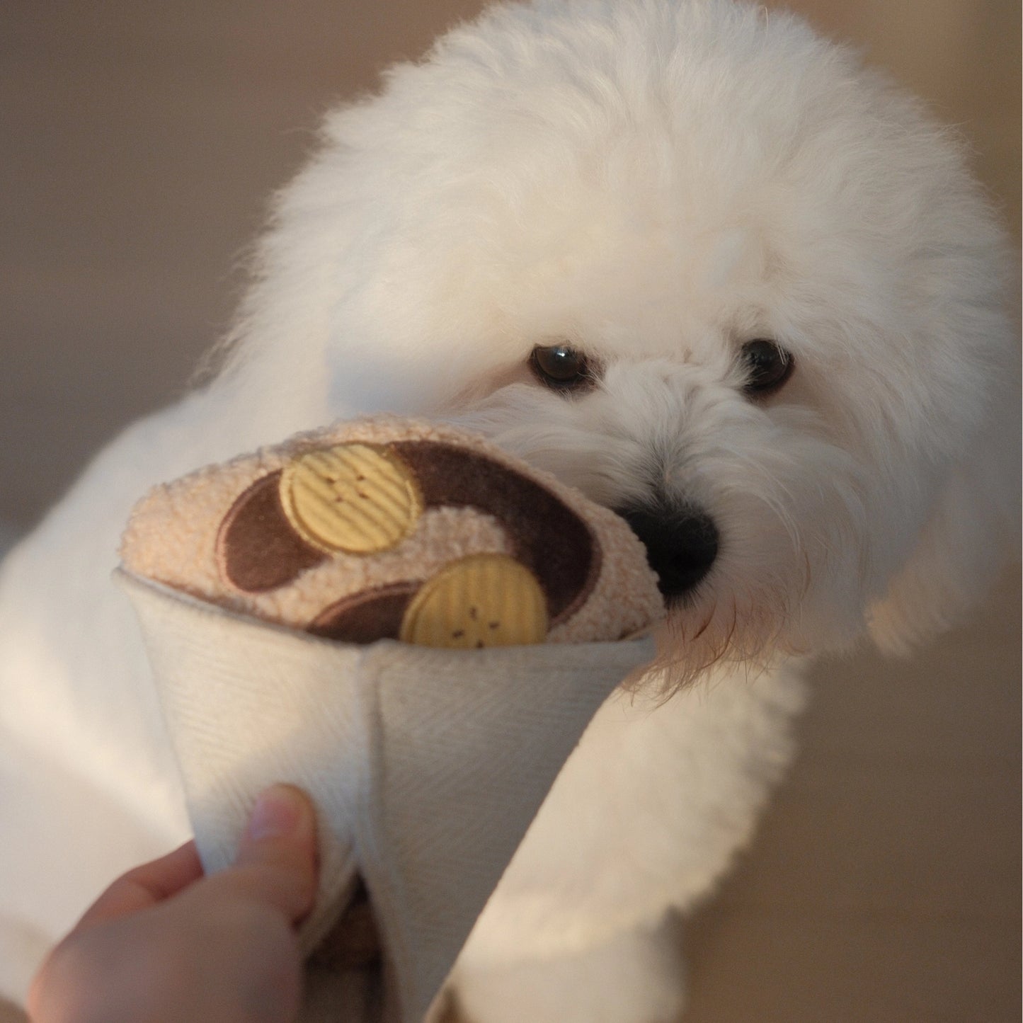 Crepe Enrichment Toy