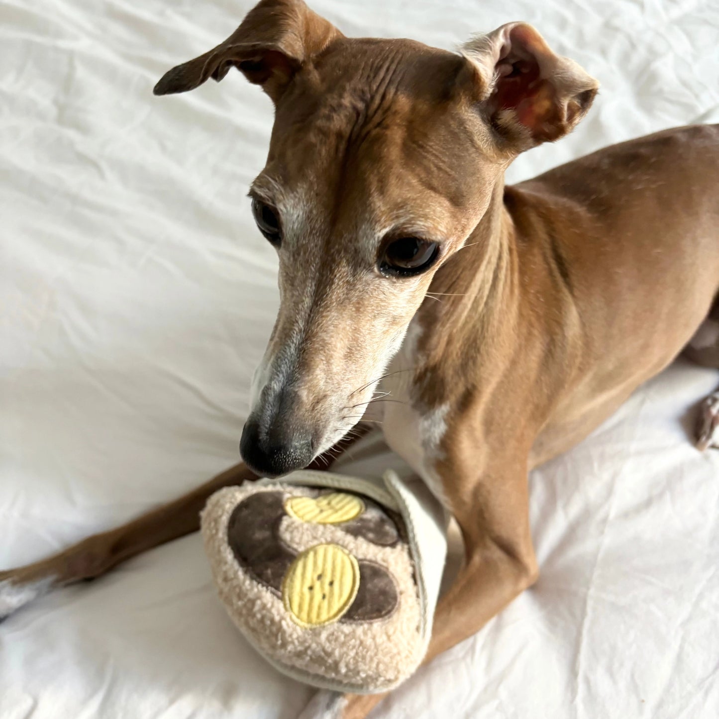 Crepe Enrichment Toy
