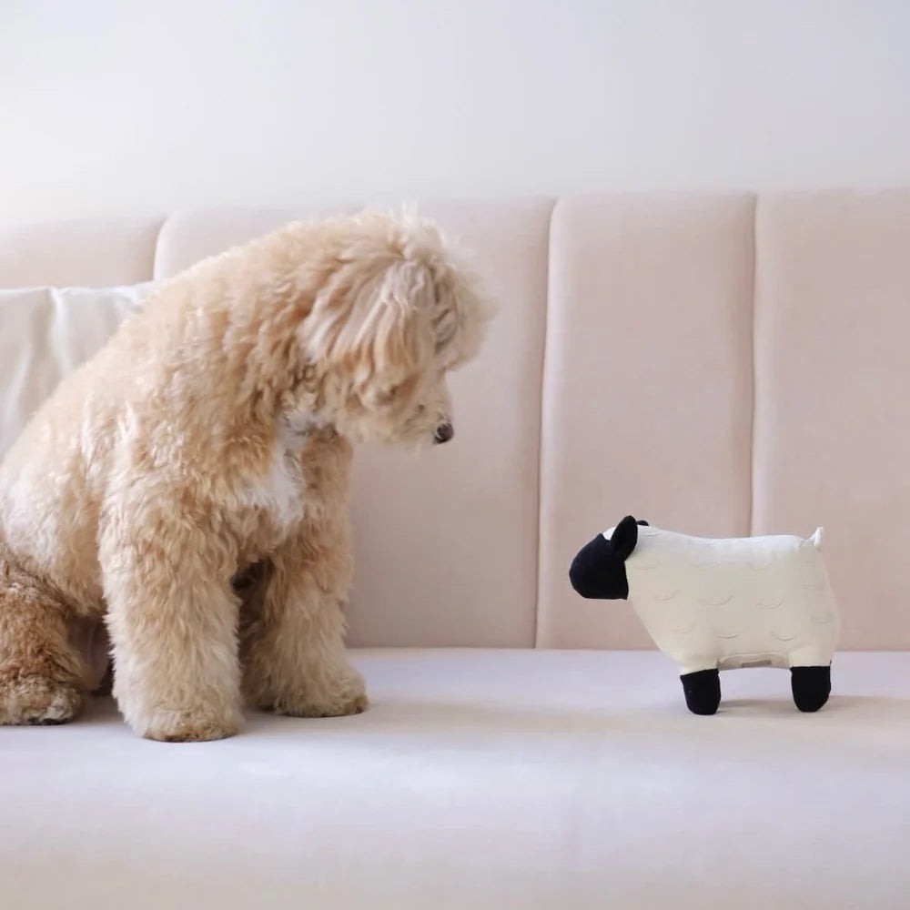 Dolly Plush Toy (+ Squeaker)