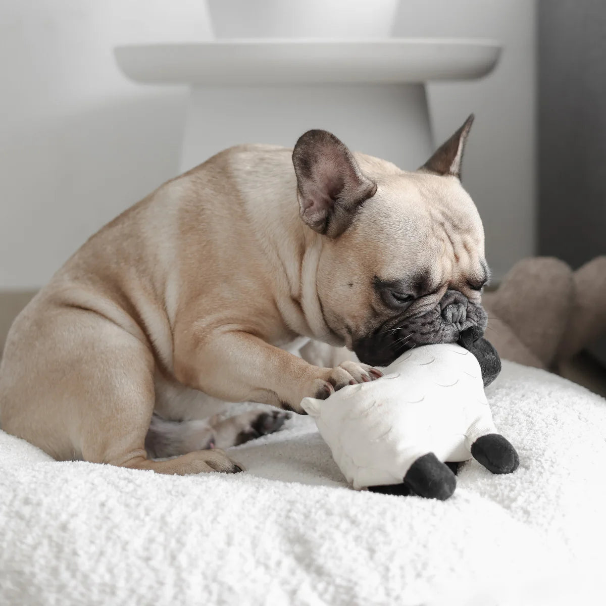 Dolly Plush Toy (+ Squeaker)