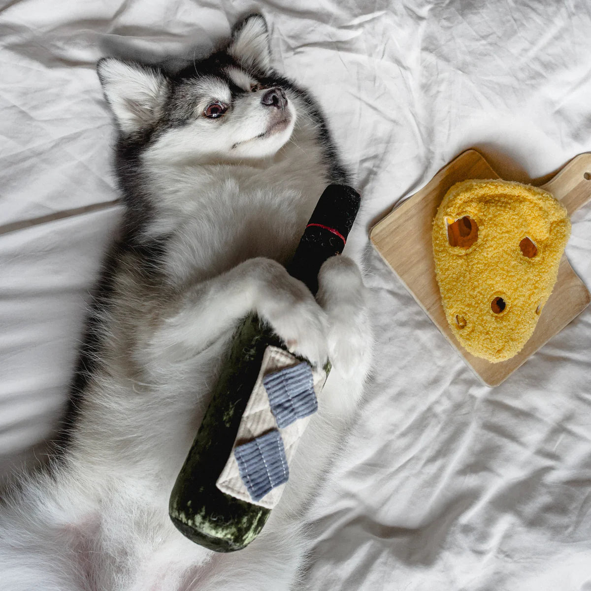 Fromage Enrichment Toy
