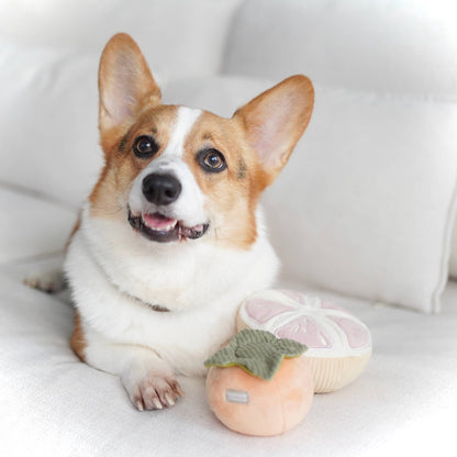 Grapefruit Enrichment Toy