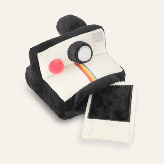 Instant Camera Enrichment Toy