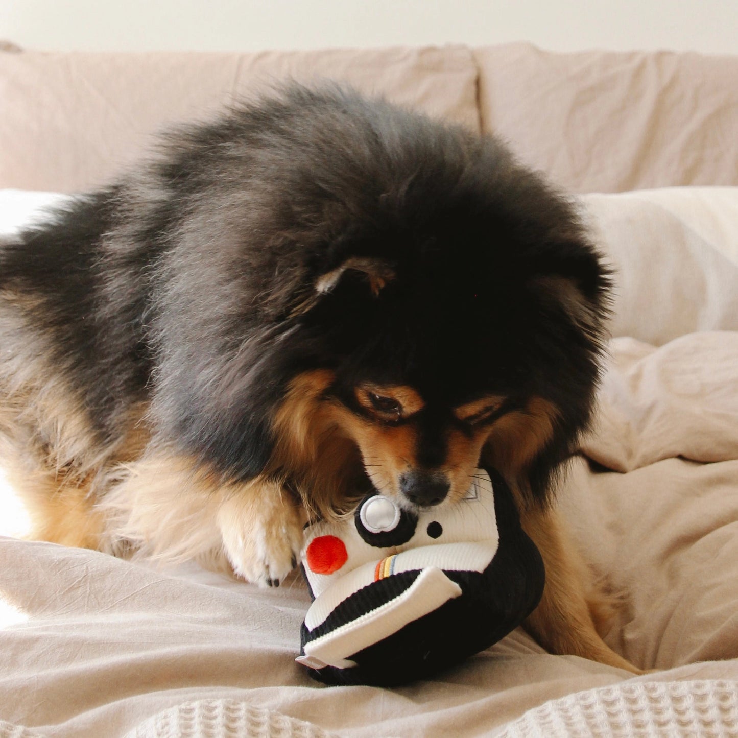 Instant Camera Enrichment Toy