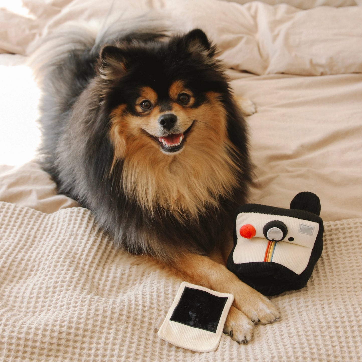 Instant Camera Enrichment Toy