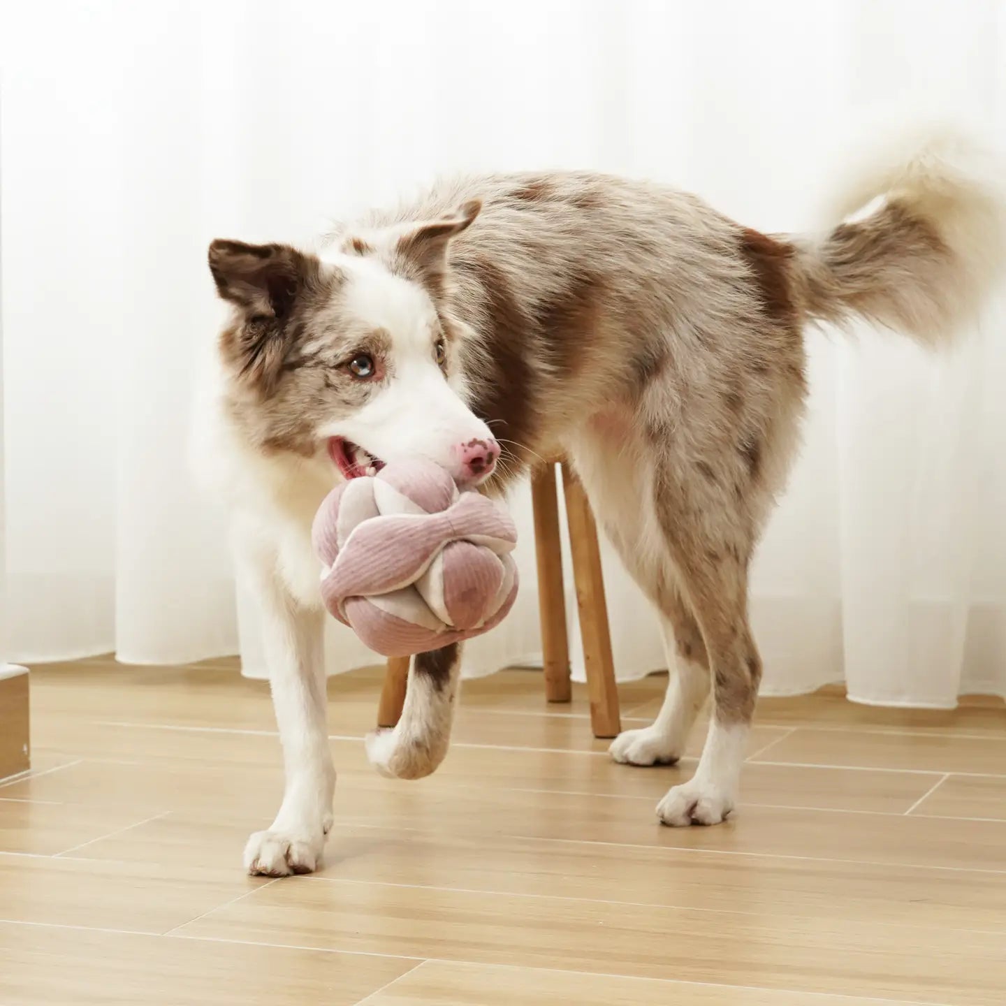 Monti Enrichment Toy (Silent Version) - Purple