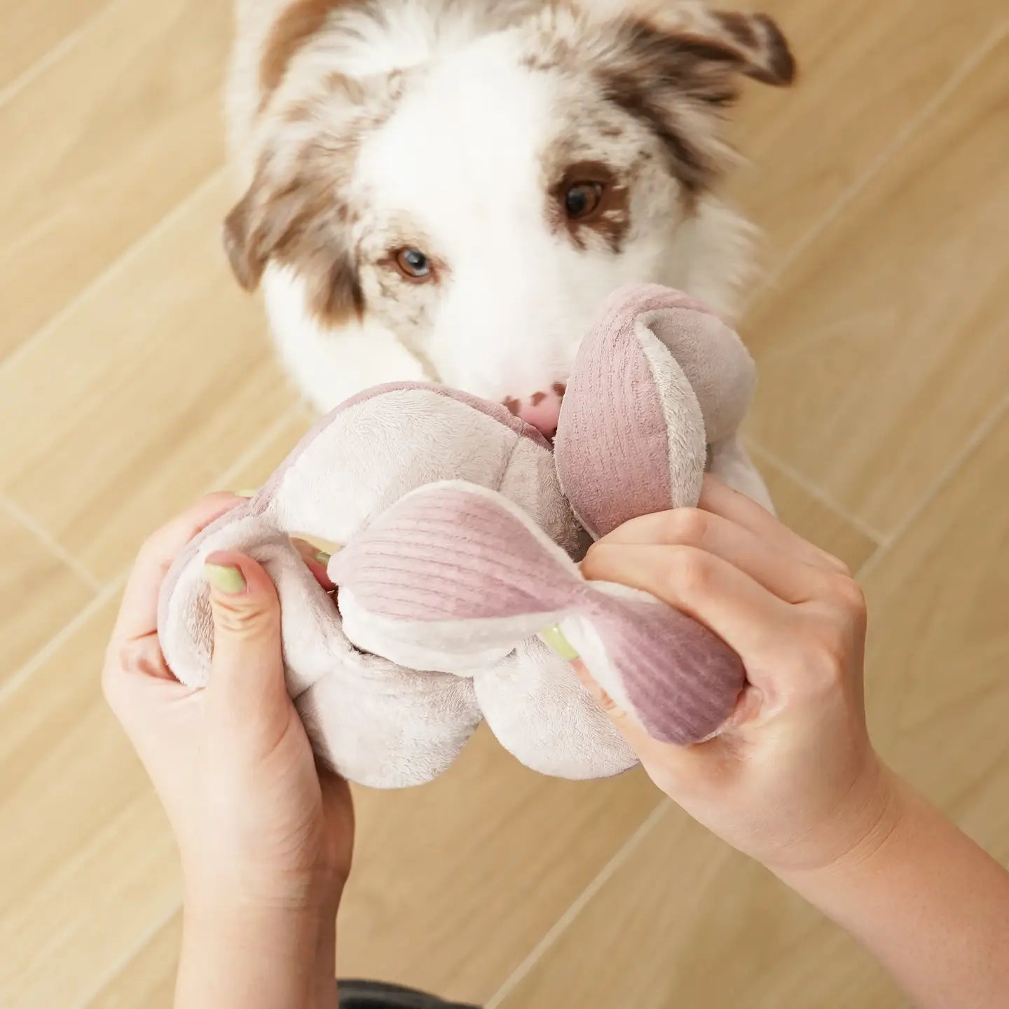 Monti Enrichment Toy (Silent Version) - Purple