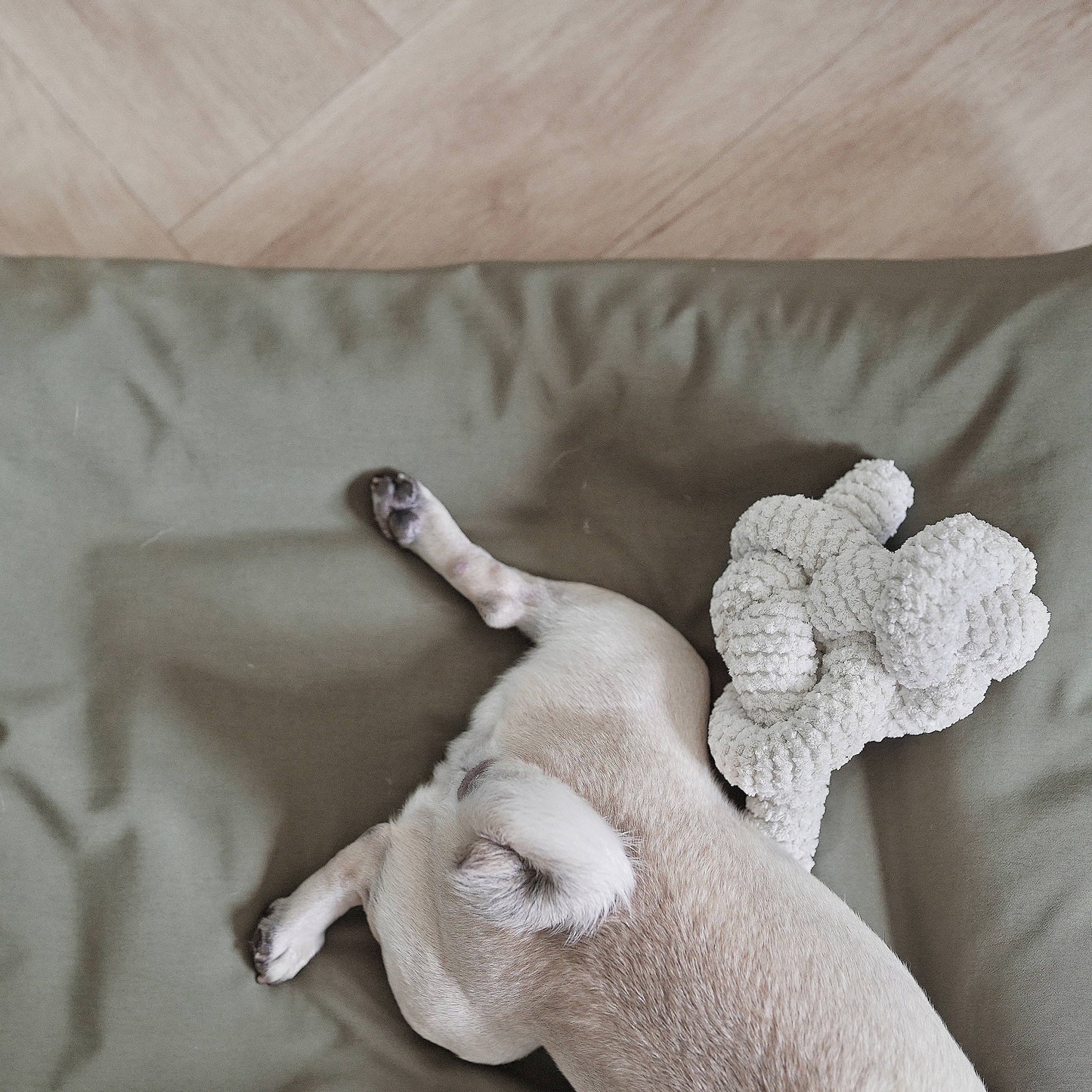 NOU Enrichment Toy