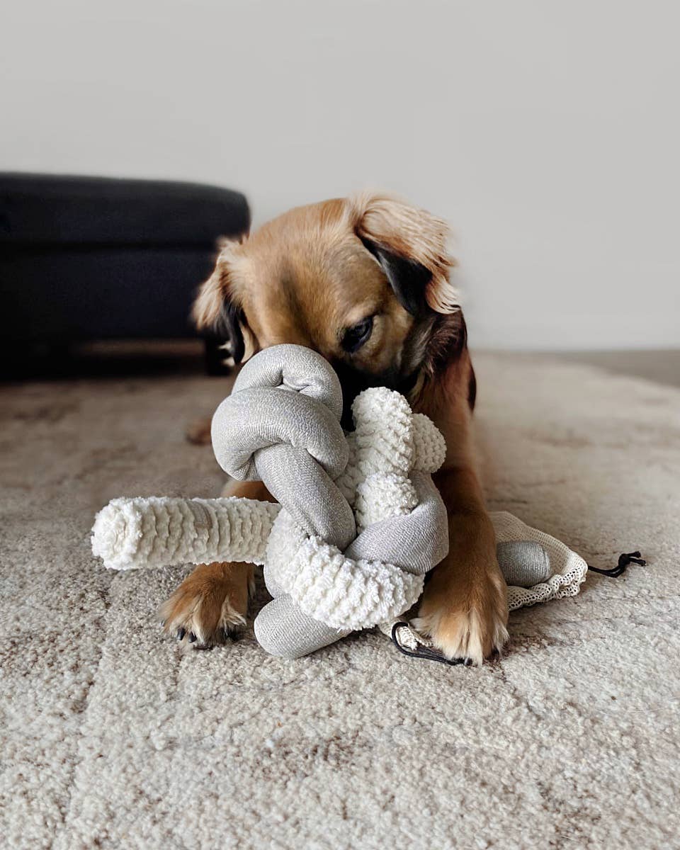 NOU Enrichment Toy