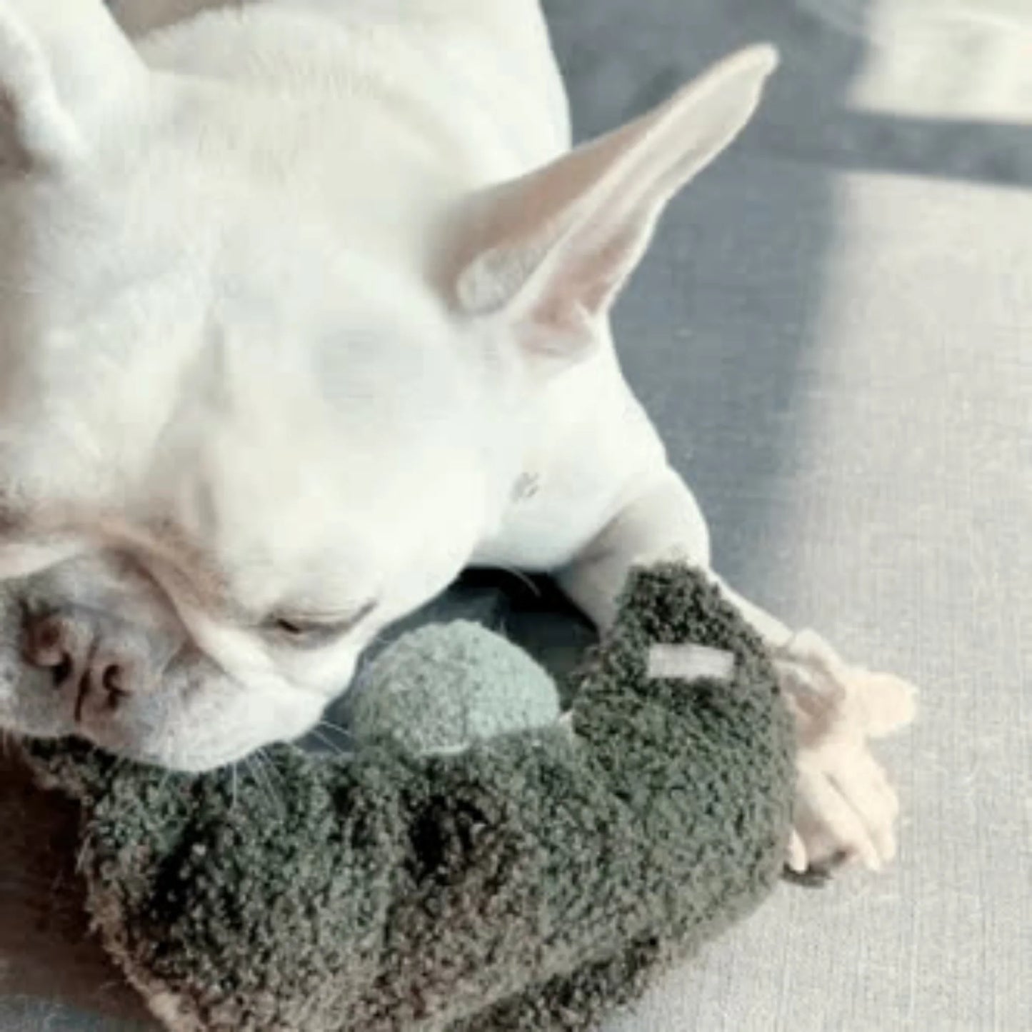 Pea Pop Enrichment Toy