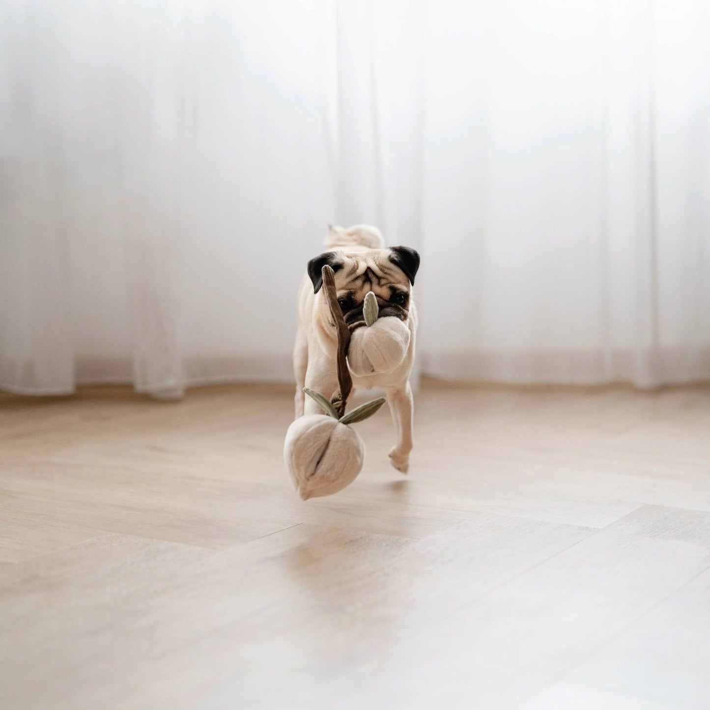 Peach Enrichment Toy