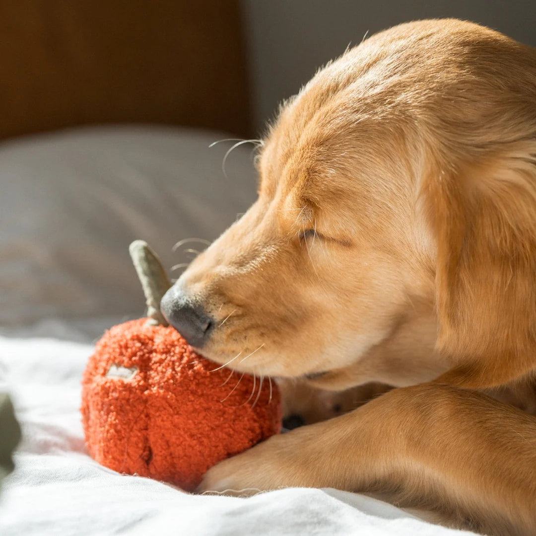 Pepper Enrichment Toy