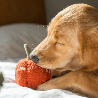 Pepper Enrichment Toy