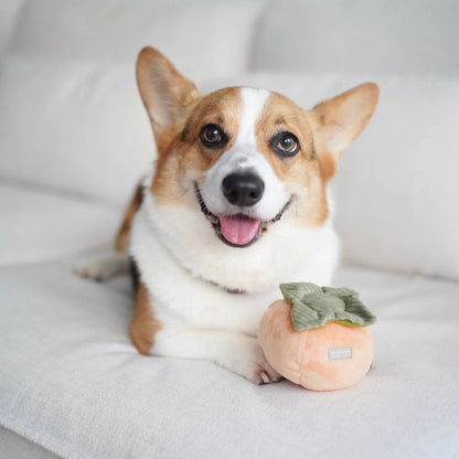 Persimmon Enrichment Toy