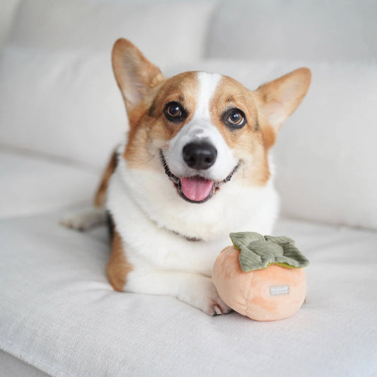 Persimmon Enrichment Toy